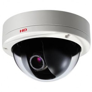 IP Cameras