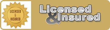 License and Insured